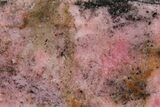 Polished Rhodonite Slab - Australia #239724-1